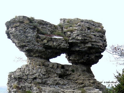 Sabot de Frotey